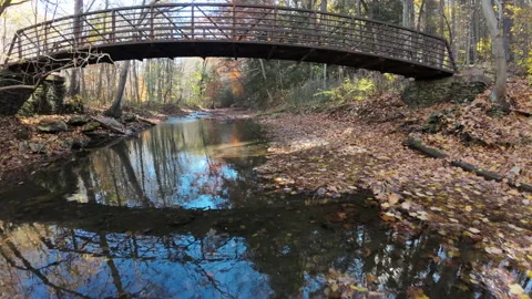 Water under the bridge Stock Footage 231899762