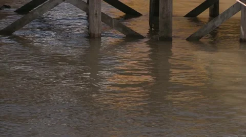 Water under the pier Stock Footage 64971466