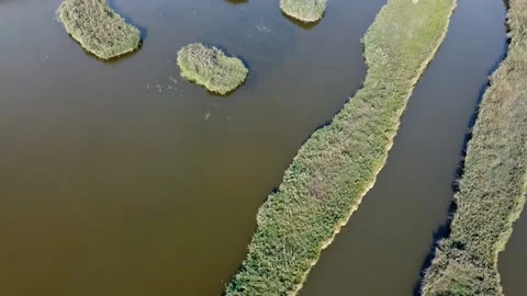 Water Vegetation From Above Stock Footage 147231860