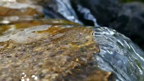 The water is very clear Stock Footage 242608241