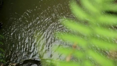 Water view Stock-Footage 331574250