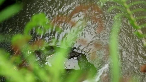 Water view Stock Footage 331574265