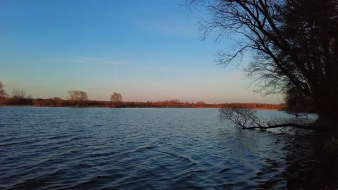 Water view with trees at sunset near calm river in late afternoon Video stock 333440468