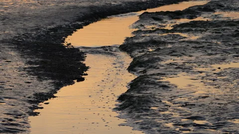 Water waddenzee slinken Stock Footage 164035401