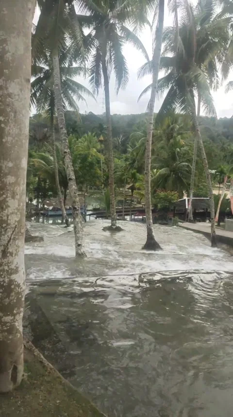 Water wall Video stock 231706300