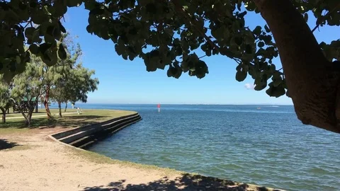 Water Wall Seen Through Trees Stock Footage 75802611