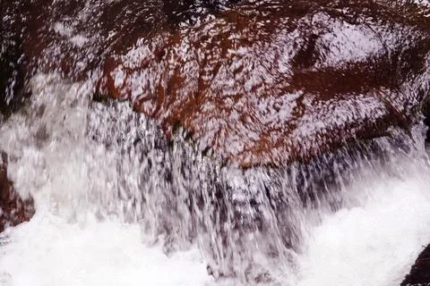 Water washes stones, water flows in the forest, river Stock Photos