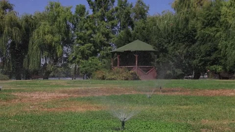 Water waste 1 Stock Footage 251032781