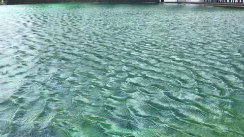 Water wave clip in the pool Stock Footage 140837142
