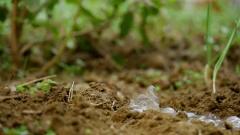 Water wave created down to up earth with amazing water force at green natural Stock Footage 166107404