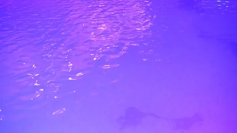 Water wave in pool Stock Footage 72842990