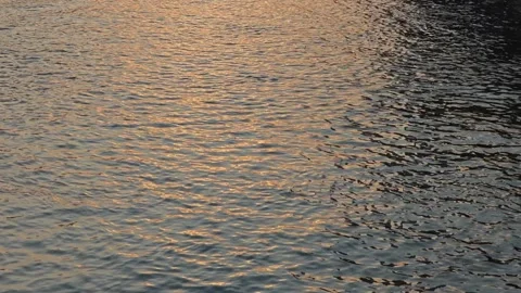 Water wave with sunset light Stock Footage 310349411