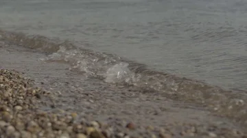 Water waves on the beach Vídeos de archivo 85787319