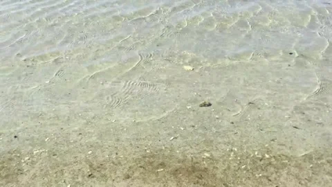 Water waves closeup Video stock 88772844