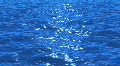 Water waves HD Footage