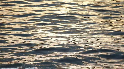Water waves Stock Footage 842367
