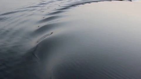 Water waves Stock Footage 83156030