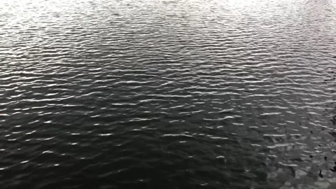 Water waves Video stock 208094536