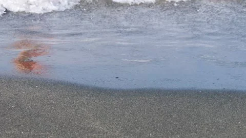 Water waves gently lap against the sandy beach Vidéo 301922184