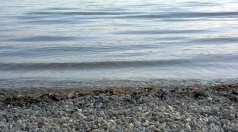 Water waves in a lake Stock Footage 43804822