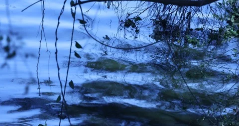 Water Waves in a Moonlight Stock Footage 125164814