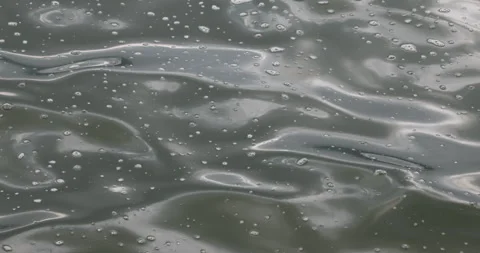 Water waves in the Pond 스톡 동영상 335641540