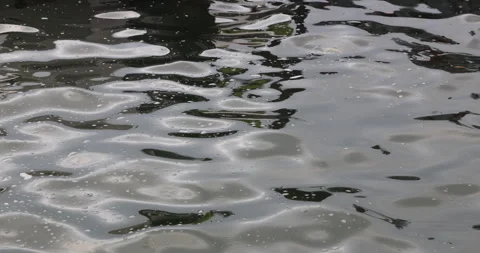 Water waves in the Pond 스톡 동영상 335641752