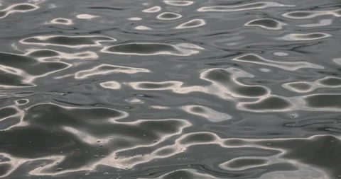 Water waves in the Pond 스톡 동영상 335642132