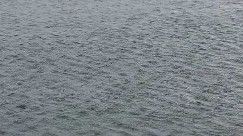 Water waves in the rain. Stock Footage 236638749