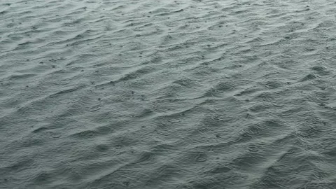 Water waves in the rain. Stock Footage 236638754