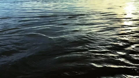 Water Waves Reflection Glowing Under Bright Natural Sunlight On Surface Stock Footage 340719486
