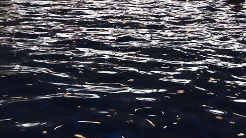 Water waves reflection at the swimming pool Stock-Footage 104102264