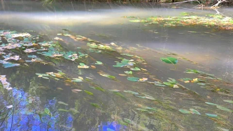 Water waves in the river Stock Footage 124367245