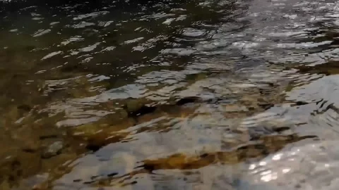 Water waves on the river Stock Footage 277669718
