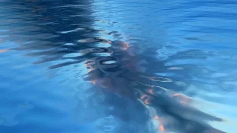 Water Waves with Sky Reflection, Exclusive, Background, Ocean, Sea Stock Footage 271100115