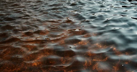 Water waves at sunset Stock Footage 115987532