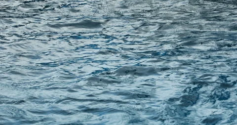 Water waves in a Swimming pool Stock Footage 320378487