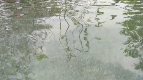 Water waves in tank Stock Footage 149258520