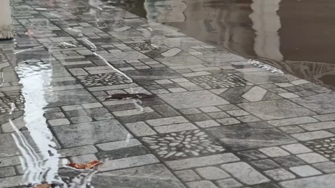 Water waves when it rains Video stock 245551220