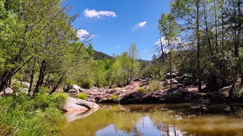 Water Wheel Falls Trail Video stock 317570414