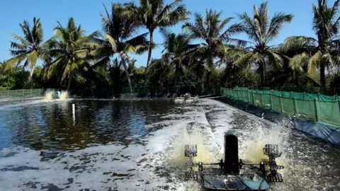 Water wheel technology for oxygen circulation in shrimp ponds 1 Stock Footage 291465868