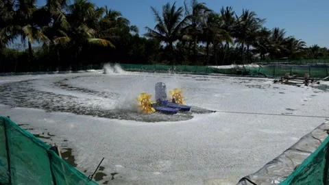 Water wheel technology for oxygen circulation in shrimp ponds Stock Footage 291465987