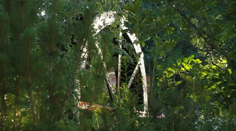 Water Wheel through trees Stock Footage 46833410