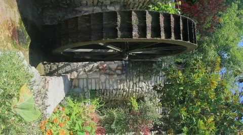 Water Wheel, vertical Video stock 791188
