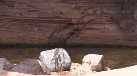 Water in the wild Video stock 50051178