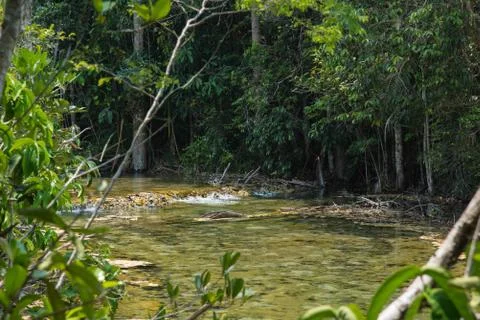 Water in the Wilderness Stock-Fotos