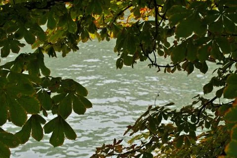 Water in window leaves. Stock Photos