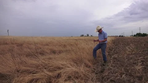 Water witching, dowser rods Stock Footage 51019671