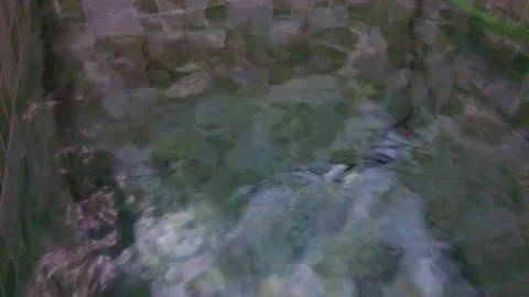 Water world Stock Footage 220729887