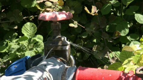 Water01 스톡 동영상 80128